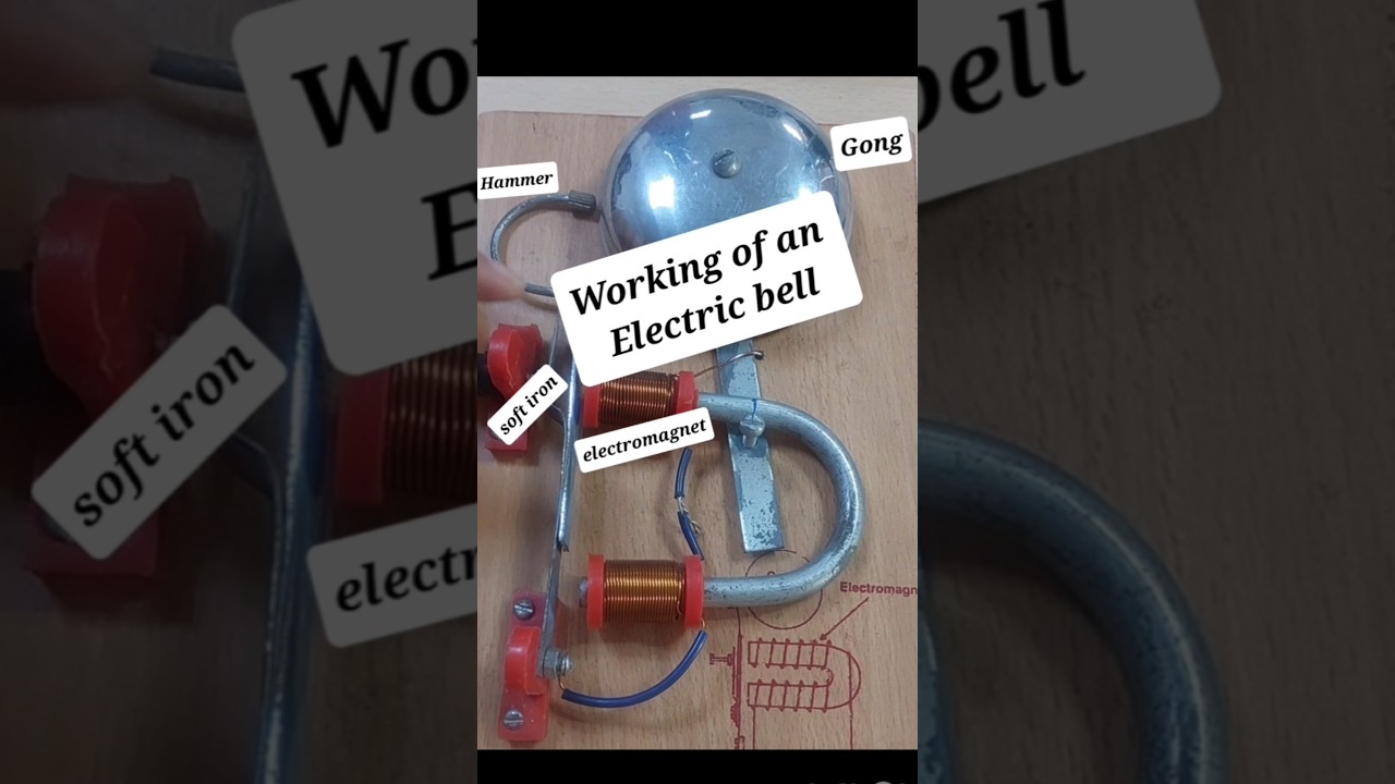 Working of an electric bell #science #electromagnet