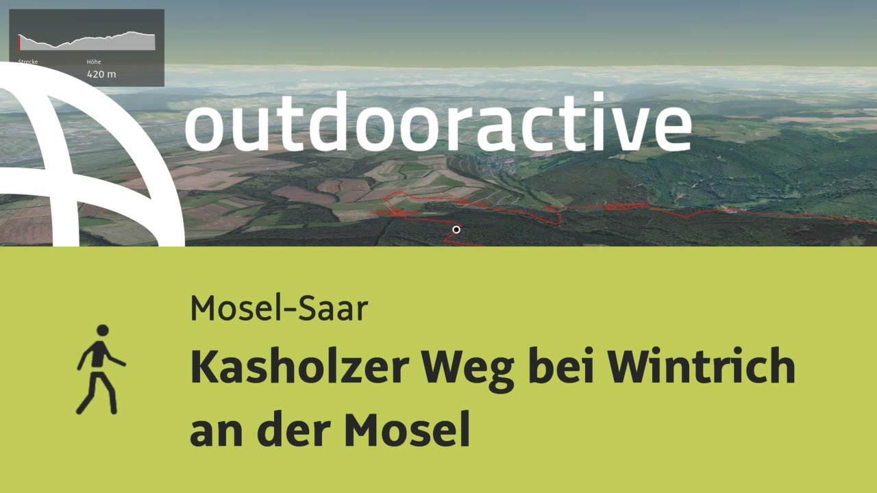 Wanderung in Mosel-Saar: Kasholzer Weg bei Wintrich an der Mosel