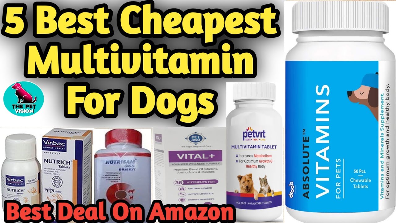 5 Best Cheapest & Quality Multivitamin For Dogs || Multivitamins For Dogs || Top 5 Multivitamin dogs