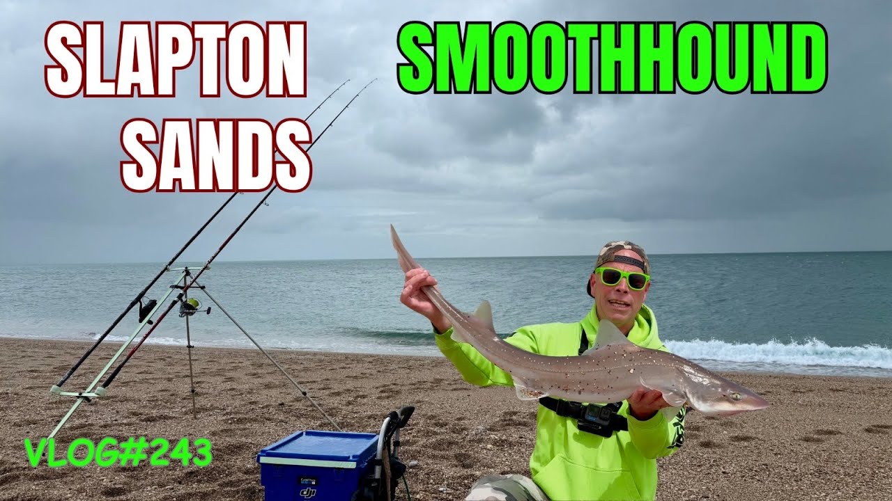 Sea Fishing Uk-STORMY Devon Beach Fishing-Another Specimen Landed! Vlog#243