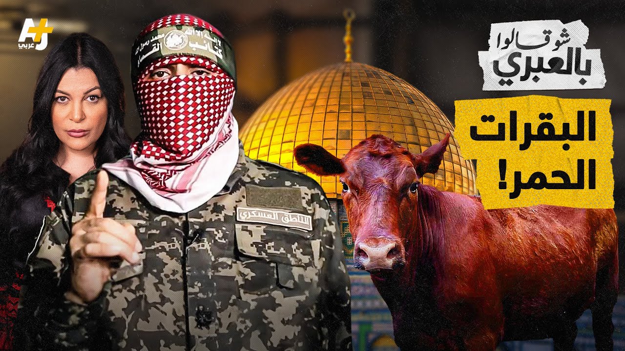 شو قالوا بالعبري | ما قصة البقرات الحمر التي ذكرها أبو عبيدة وعلاقتها بهدم الأقصى؟