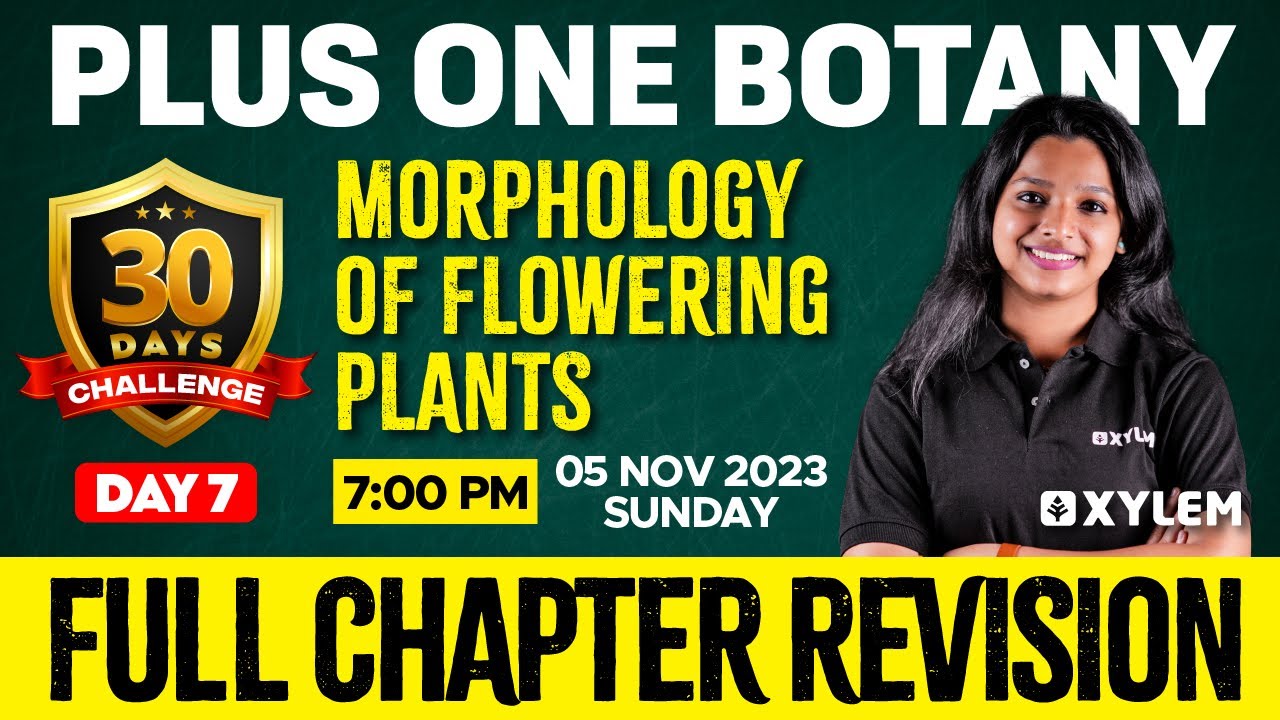 Plus One - Botany - Morphology of Flowering Plants | Xylem Plus One
