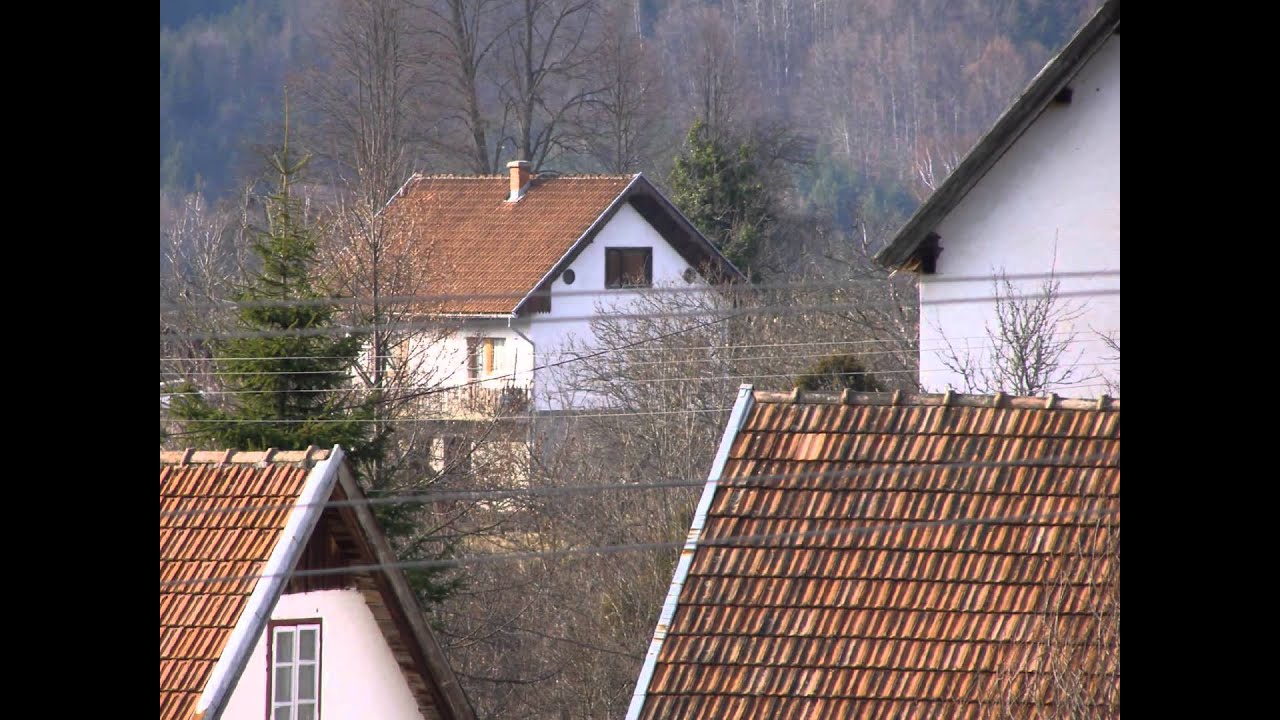 Donja Vijaka BiH
