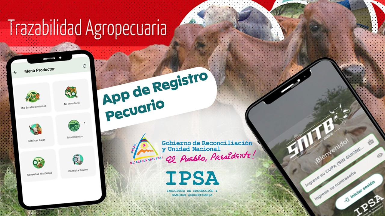 ¡Tu finca en tu celular! 🤠📲 Conoce la nueva App de Registro Pecuario del IPSA.