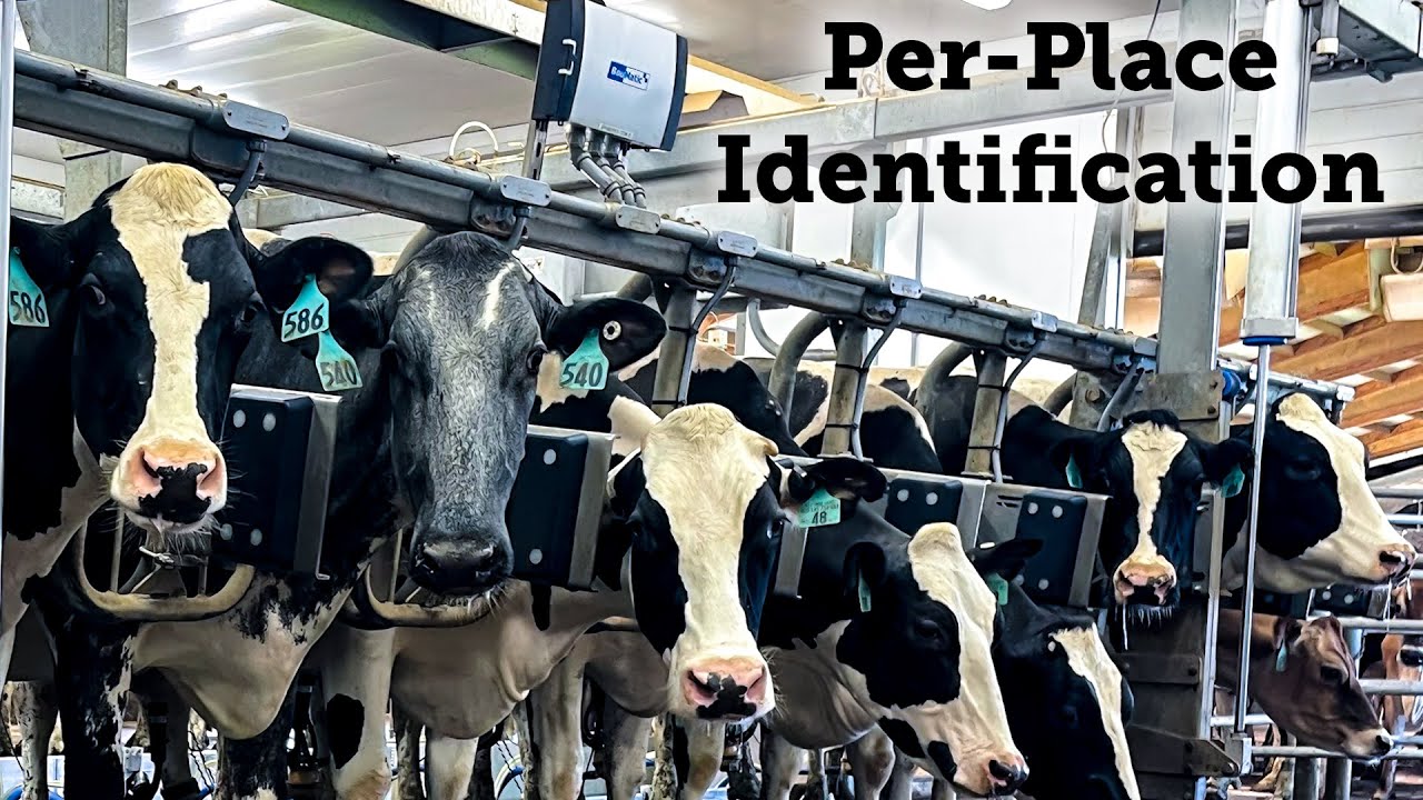 Per Place Identification, RFID solution system (English)