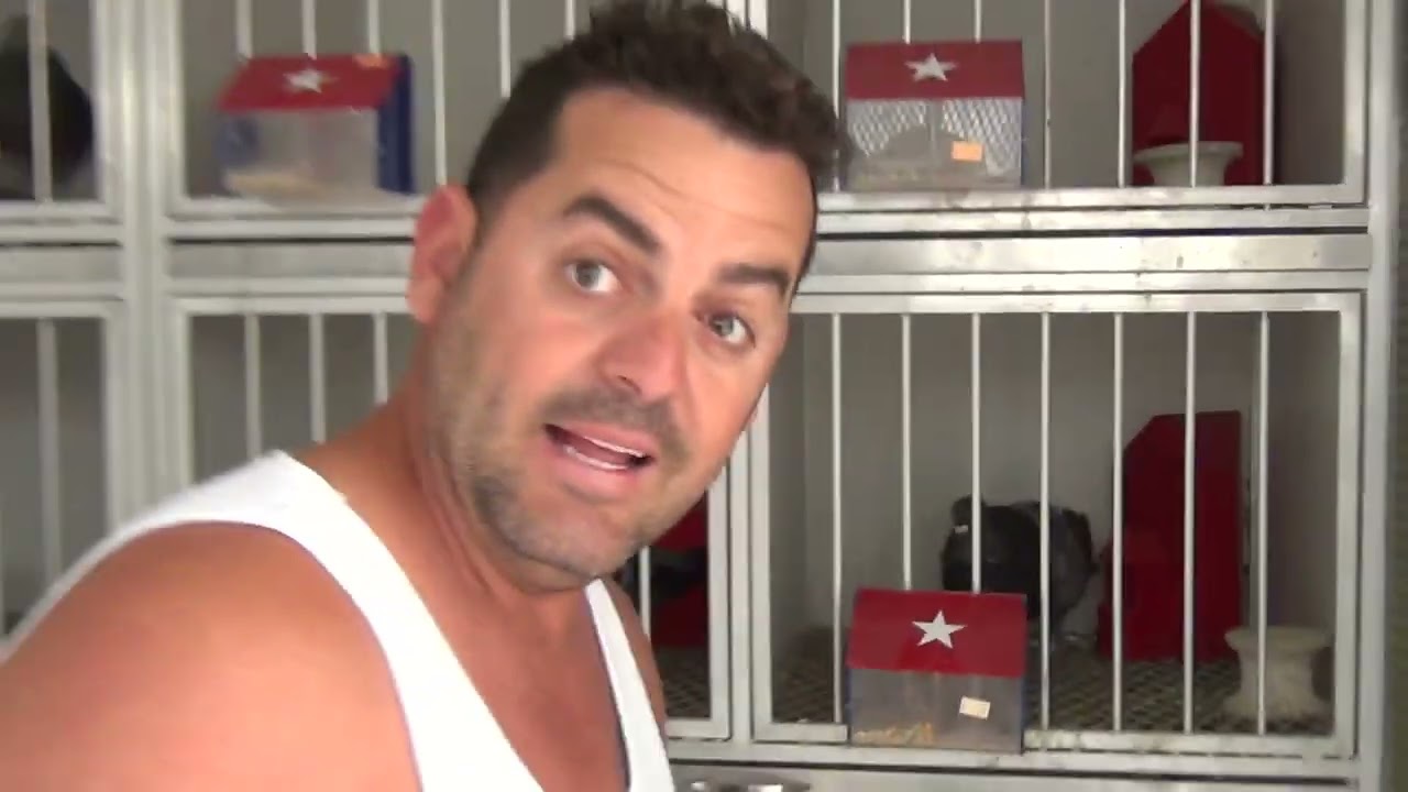 Reproductores de Frank de Jacomino 2024