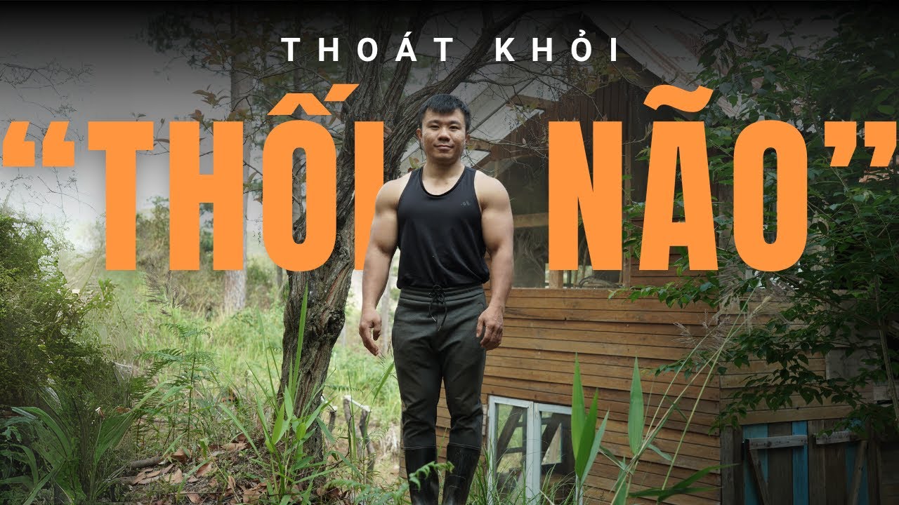 VLOG: Lên Núi Ở Để Thoát Khỏi Cảnh 