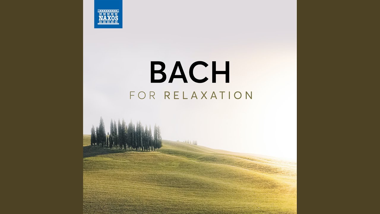 Brandenburg Concerto No. 5 in D Major, Bwv 1050: Ii. Affettuoso