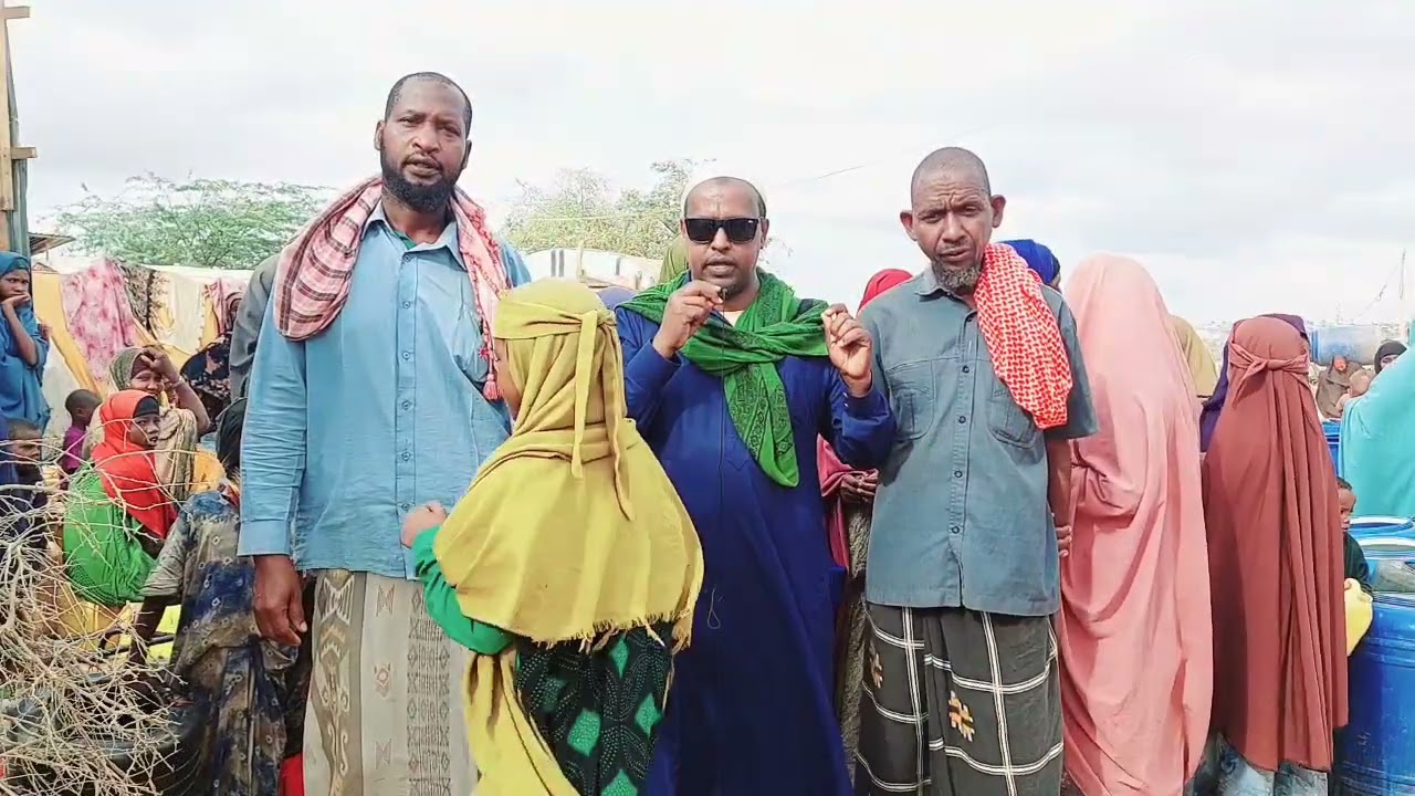 Biyo dhaaminta ee kaamka barakacayaasha ee bay gaduud