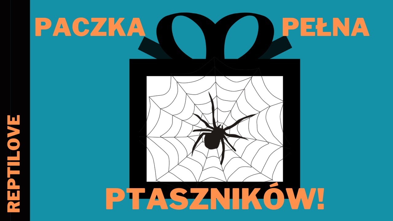 Paczka Niespodzianka Pełna PTASZNIKÓW!