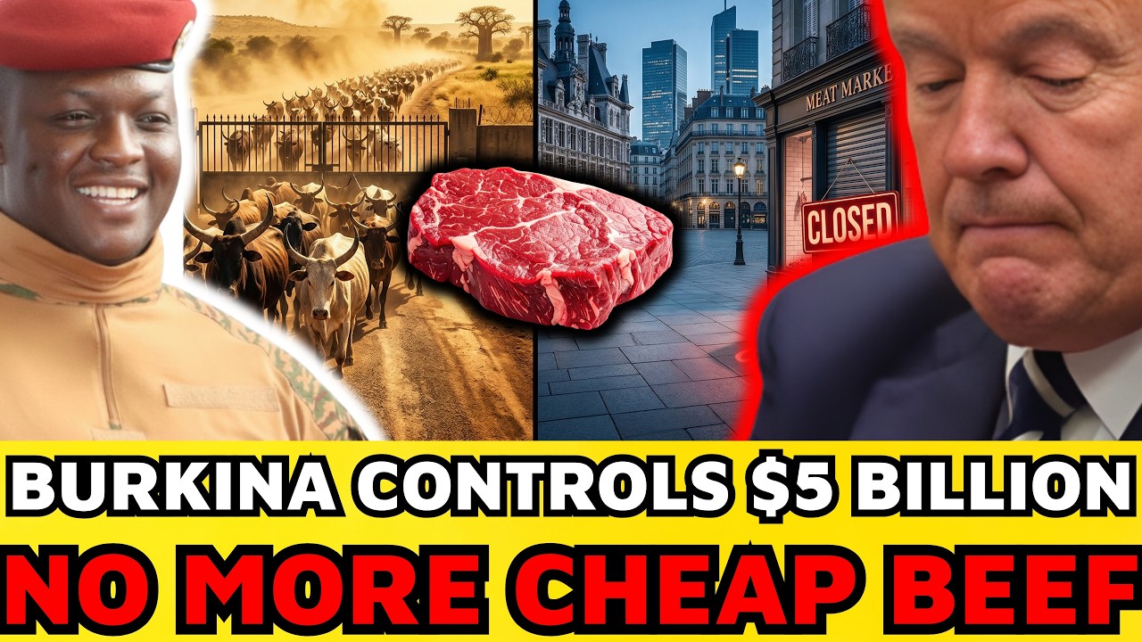 The Beef Blockade: Africa Stops Feeding Europe For Pennies