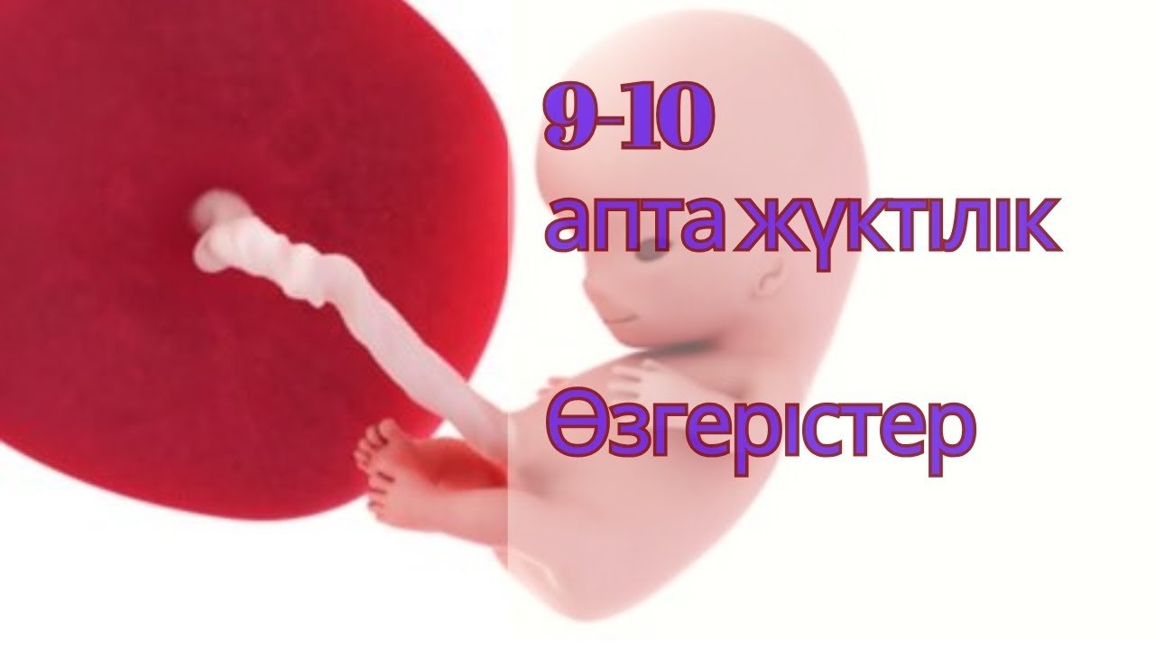 9-10 АПТАЛЫҚ ЖҮКТІЛІК МАҢЫЗДЫ АҚПАРАТ