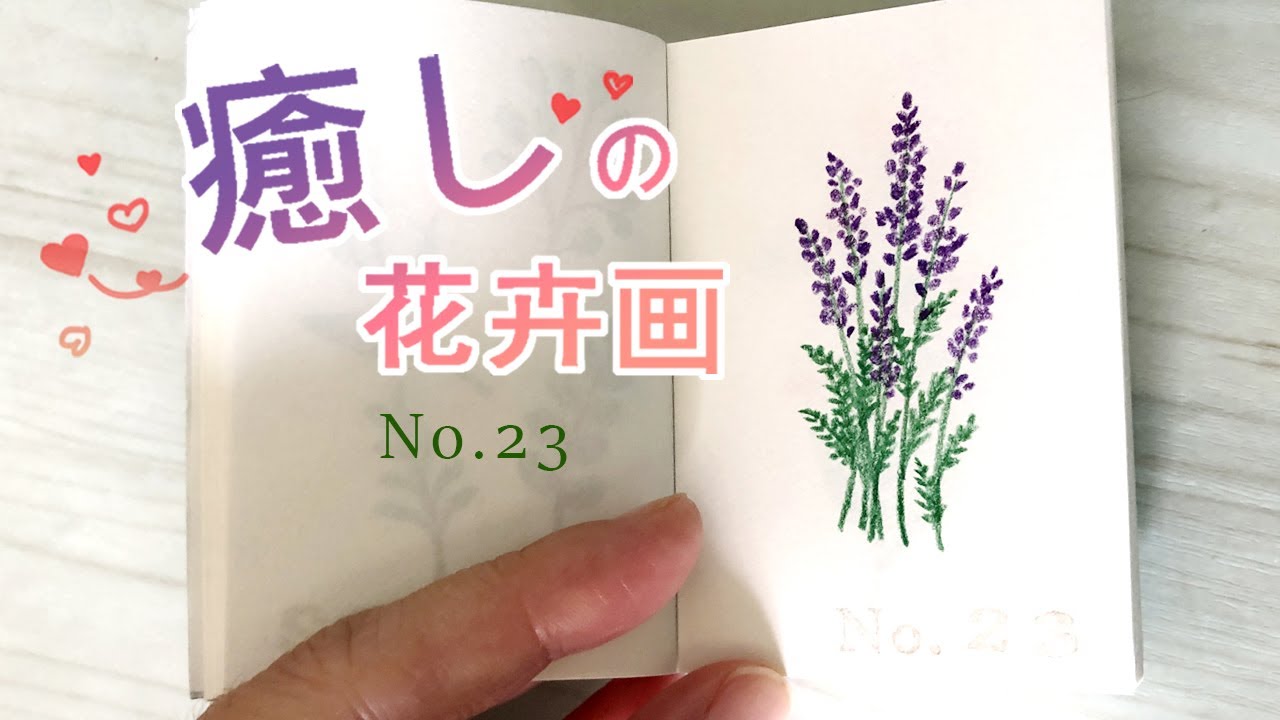 #141《粉彩畫花卉 / 每天一小畫 / 花卉-No.23》粉彩 + 色鉛筆