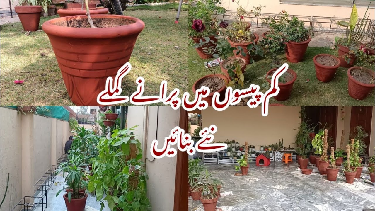 Best Color for Pots | Give your Pots a New Look | How to Paint Terracotta Pots | Cheap & Easy! RMG