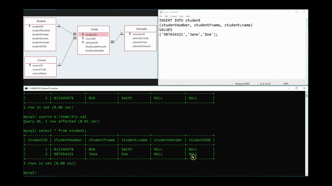 03   Learn SQL   INSERT INTO
