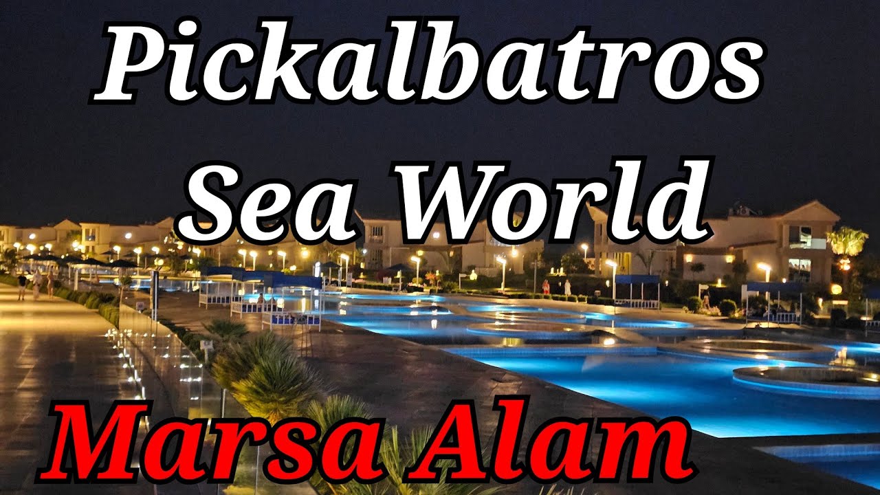 Отель Pickalbatros Sea World 5* в Марса Аламе. Как это выглядит? Стоит ли оно того?