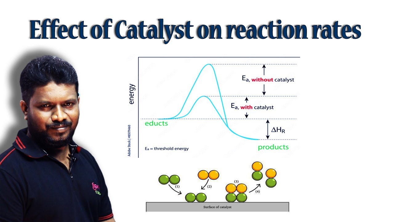 14.Effect of Catalyst on reaction rates | CBSE Chemistry Class 12