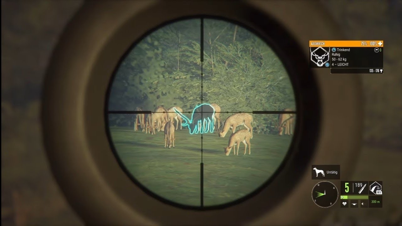 Diamond and Rare Montage #74 /The Hunter Call of the Wild Montage