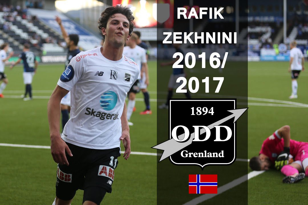 RAFIK ZEKHNINI | Odd | Goals, Skills, Assists | 2016/2017 (HD)