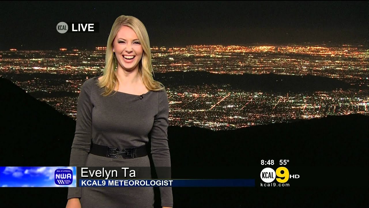Evelyn Taft 2012/01/13 KCAL9 HD; Grey dress, pantyhose