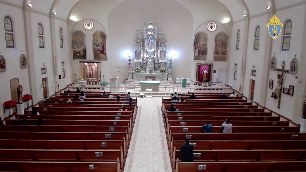 Misa del día