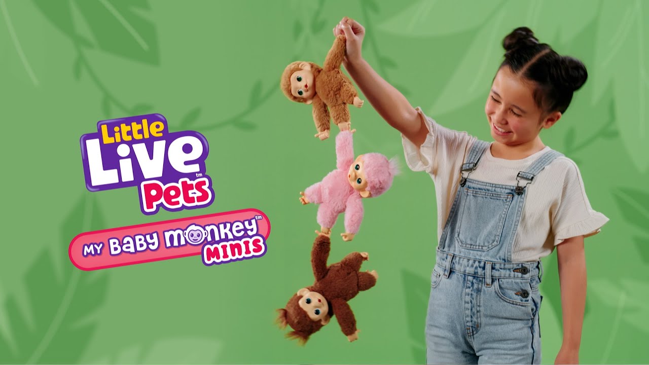LITTLE LIVE PETS | MY BABY MONKEY MINIS | TVC Horizontal | 15