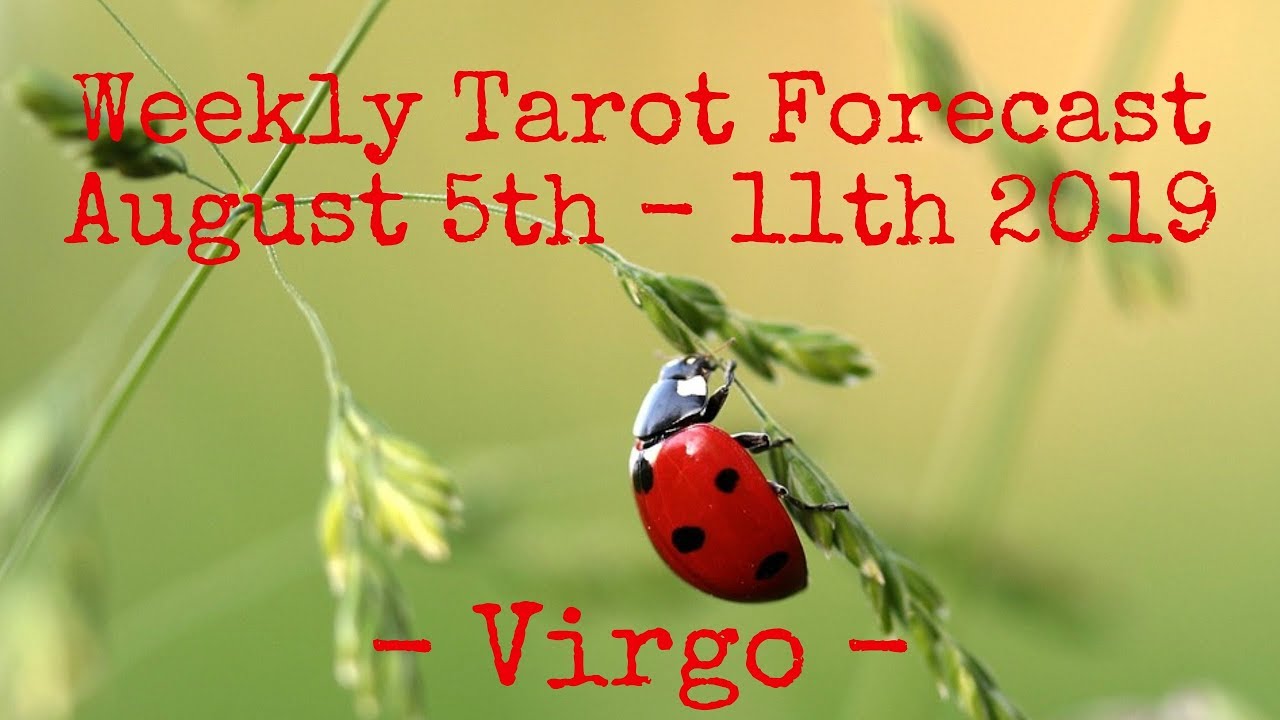 Virgo ~ The wait is over! ~ Weekly Tarotscope Aug 5th - 11th
