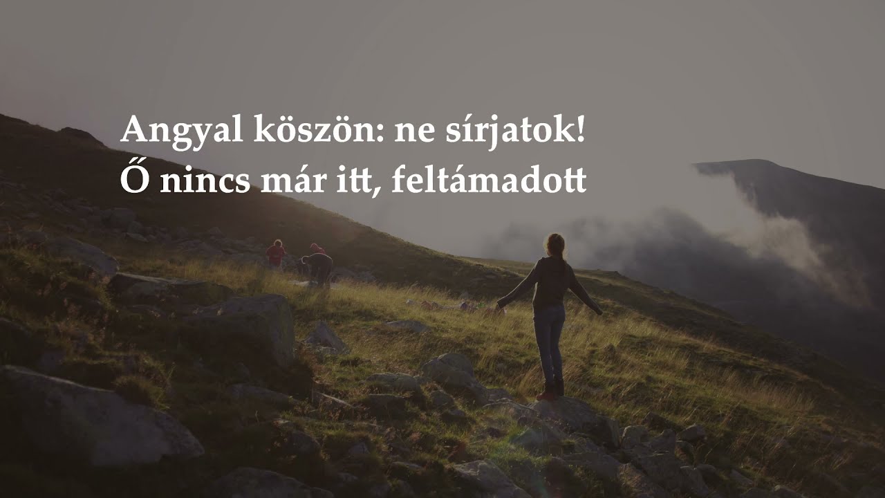 Mint Bárány