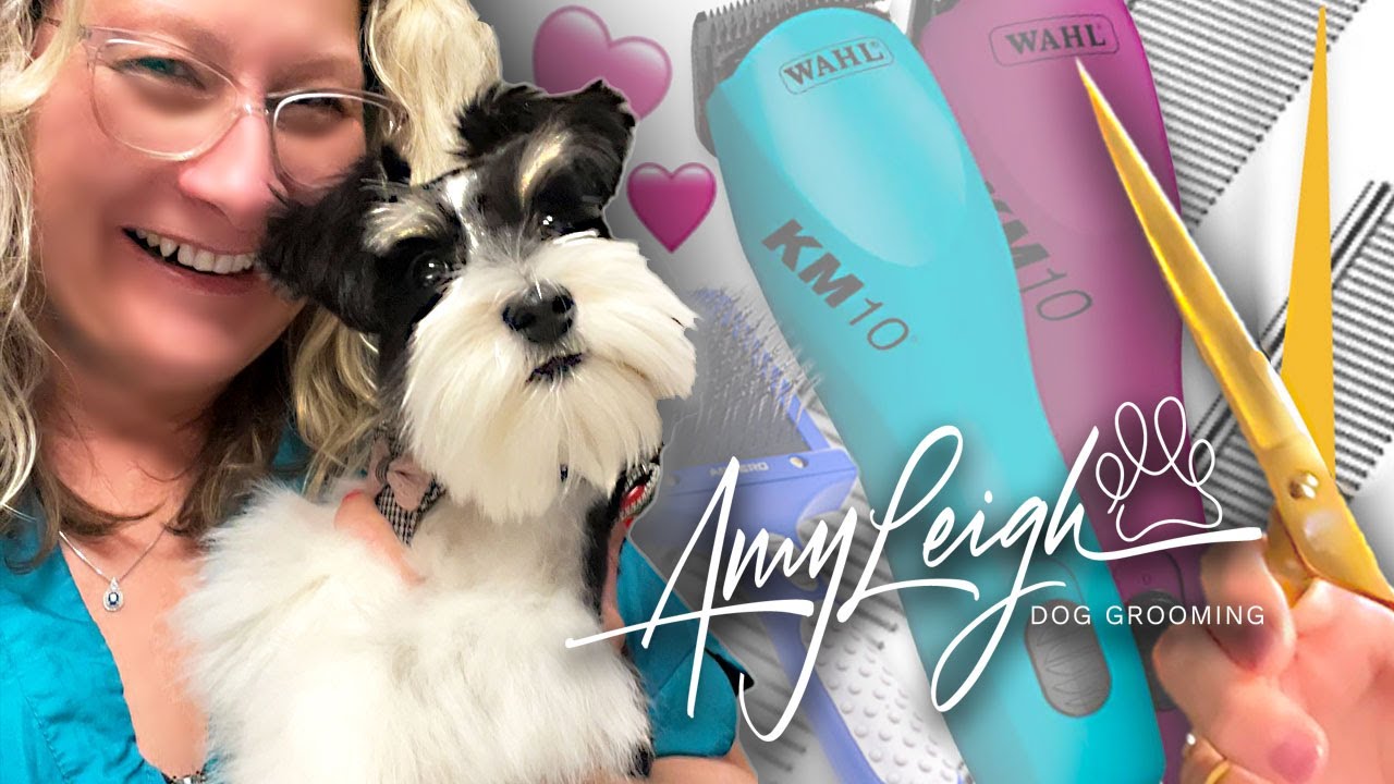 Dog Grooming Questions Answered LIVE!