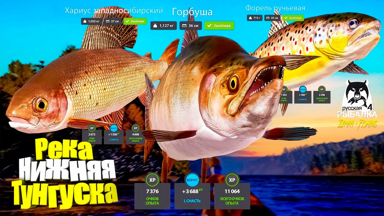 Русская рыбалка 4.🎣 р. Нижняя Тунгуска 🐟🐟🐟💦 от LATORSO 👀