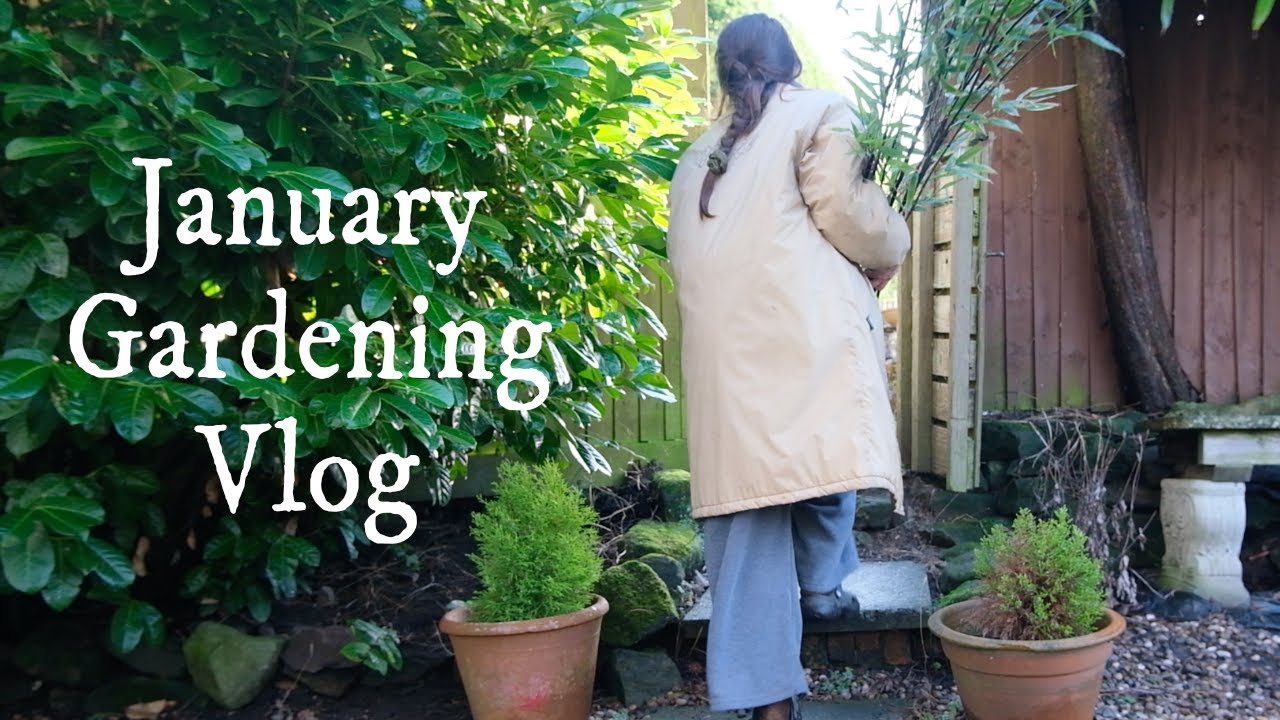A Day in the Garden | Planting for Privacy & Cooking from the Plot | Countryside Living