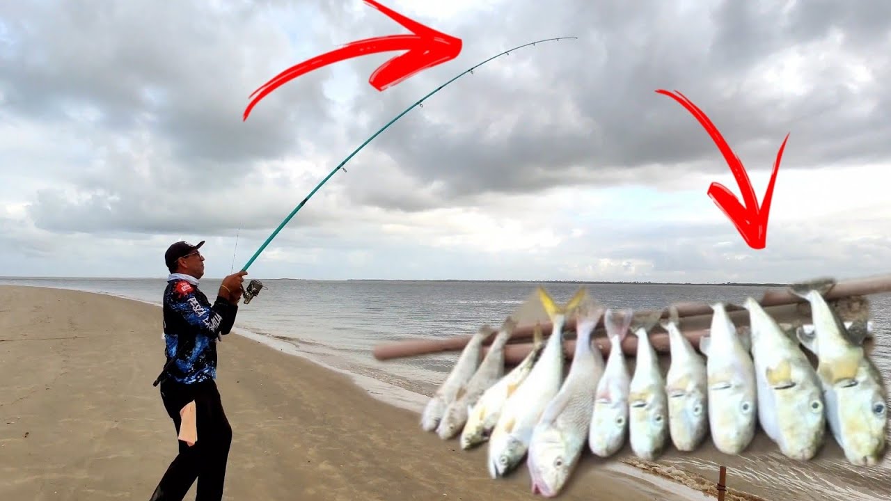 SE PREPARE PORQUE ESSE PEIXE NÃO TEM DÓ SÓ ASSISTA SE TIVER O CORAÇÃO FORTE!!! - PARTE 2