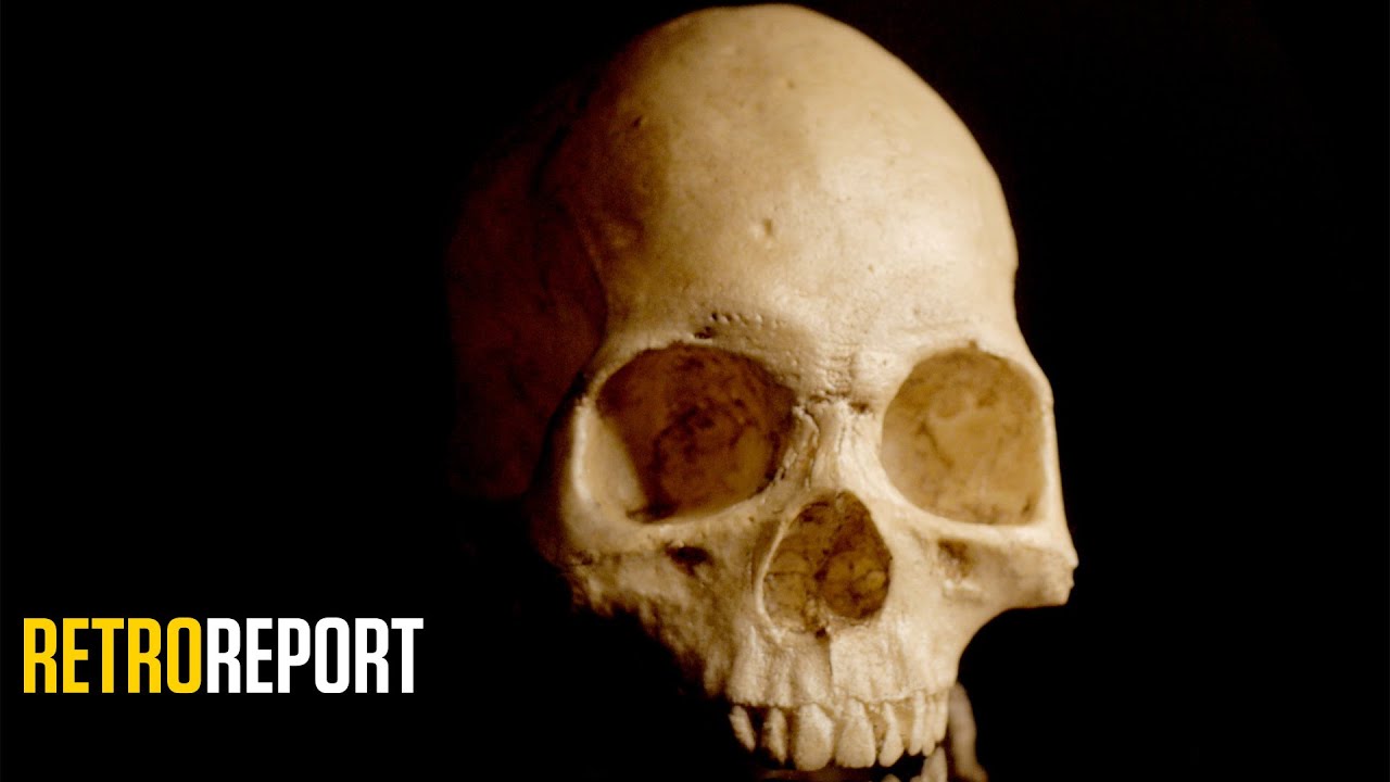 Raising Doubts About Evolution… in Science Class | Retro Report