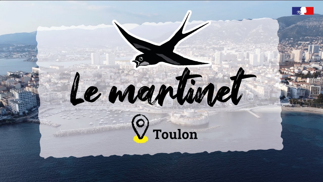 Biodiversit&eacute;, territoires engag&eacute;s : la ville de Toulon prot&egrave;ge les martinets