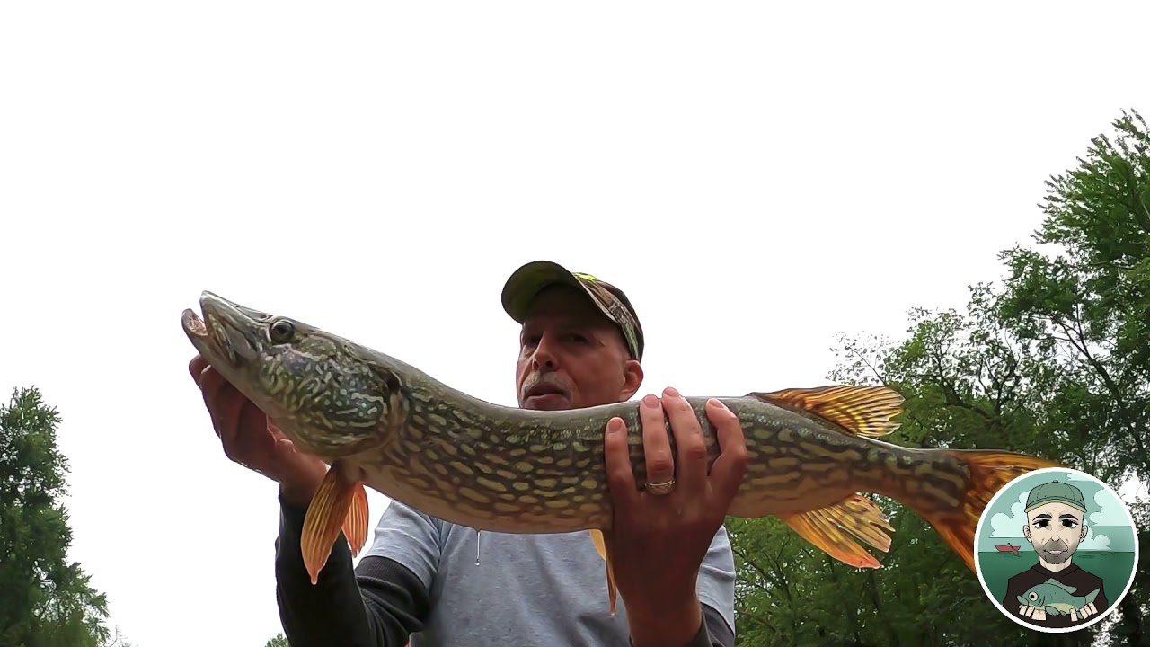 Daredevil Pike Spoon