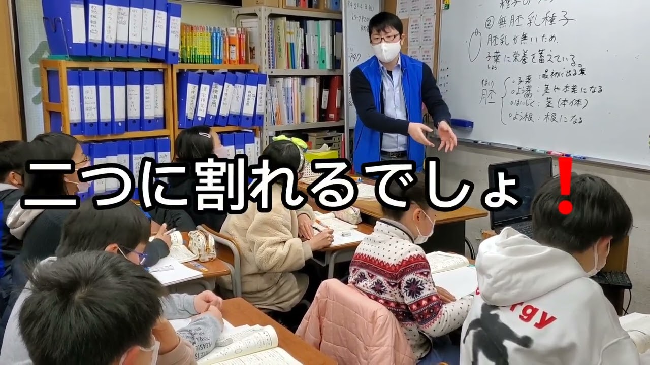 【志学ゼミ】ピーナッツの実は何？　胚珠？子葉？　根？
