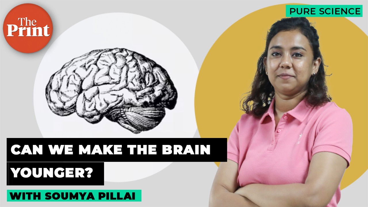 A protein that can prevent brain ageing