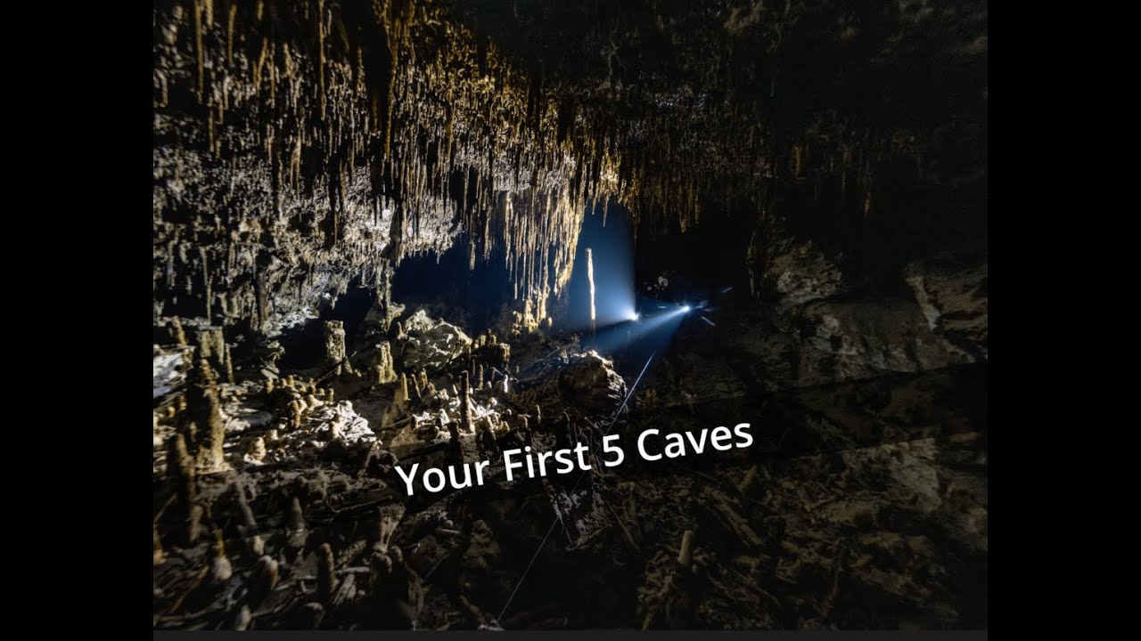 The First 5 Caves You Should Dive in Tulum — Part 1