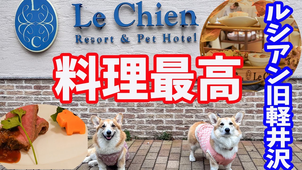 【ルシアン旧軽井沢】わんこメニュー充実！お料理最高！軽井沢でわんこと泊まるおすすめの宿