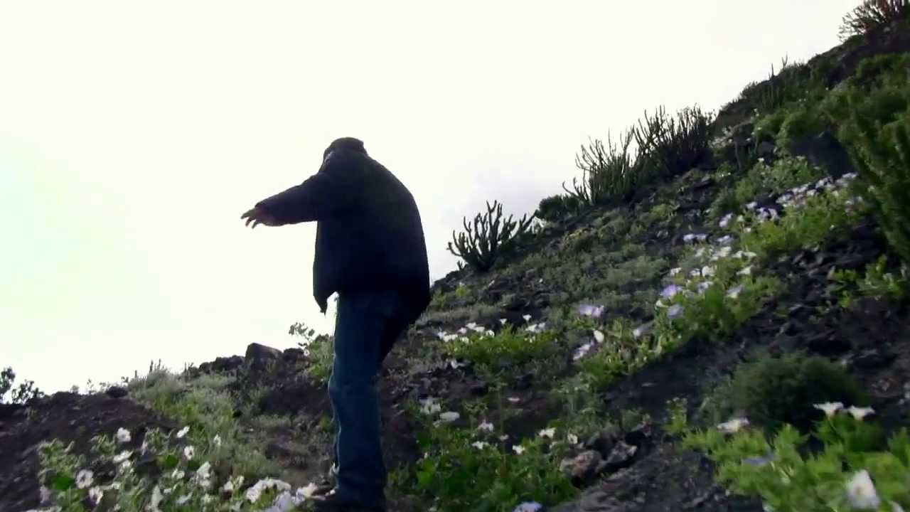 Atrapanieblas