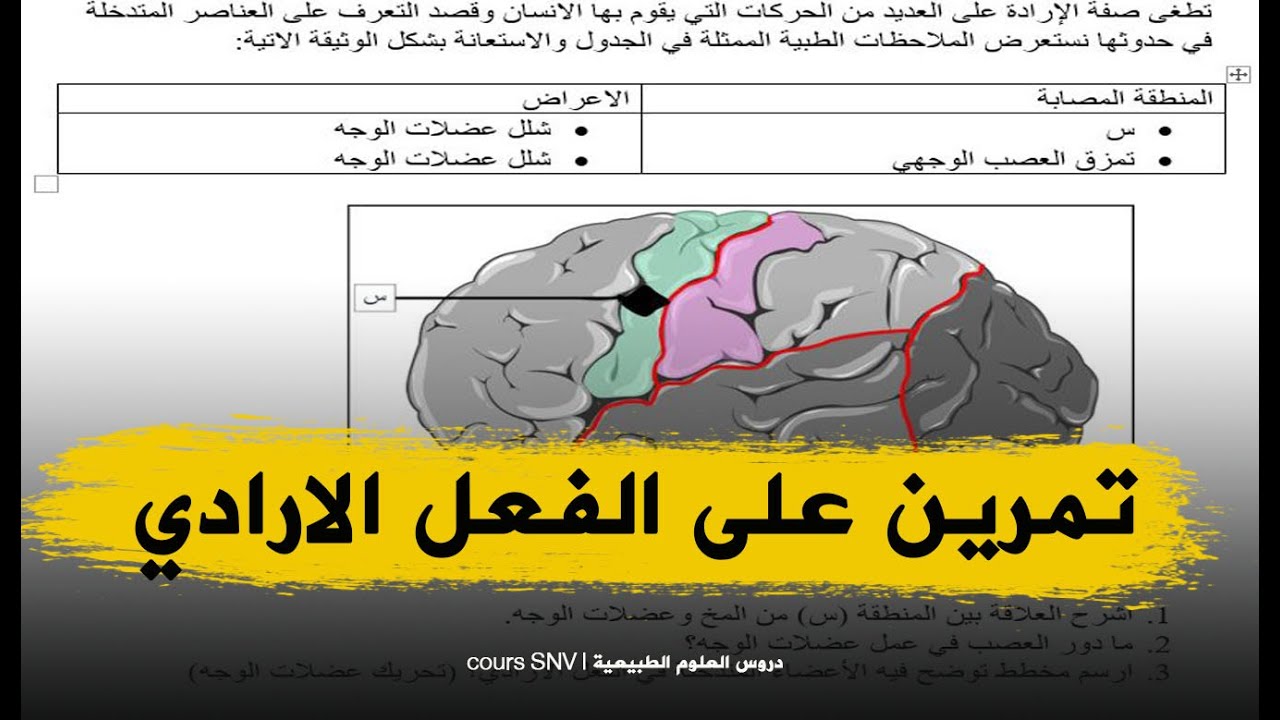 تمرين يساعدك في تحضير الفروض و الختبارات الفعل الارادي للرابعة متوسط علوم طبيعية