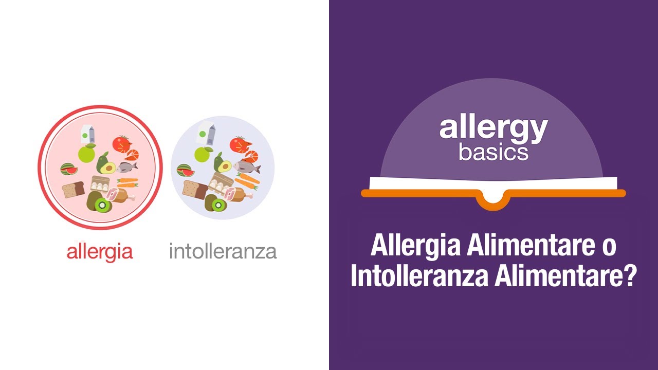 Allergia Alimentare o Intolleranza Alimentare? | Allergy Insider