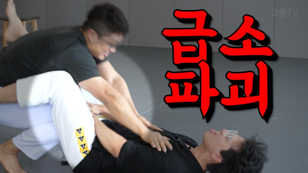 실전 싸움에서 가장 효과적인 주짓수 기술 TOP5