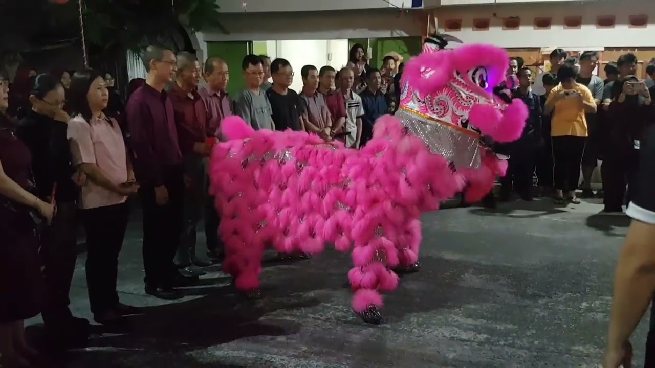 Atraksi Barongsai Makin Dragon Lion Dance Pada Acara Penyalaan Lampion Sekolah Kasih Maitreya