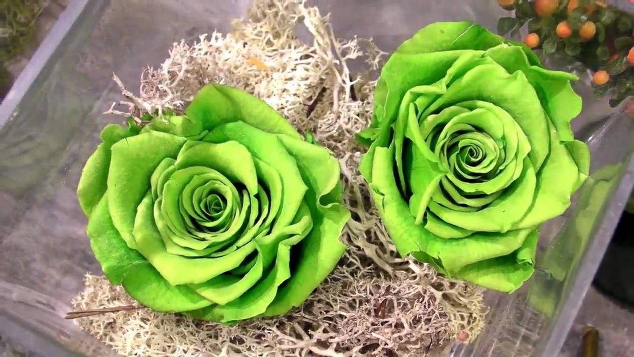 Flore Alliance | fleuriste à Grenoble