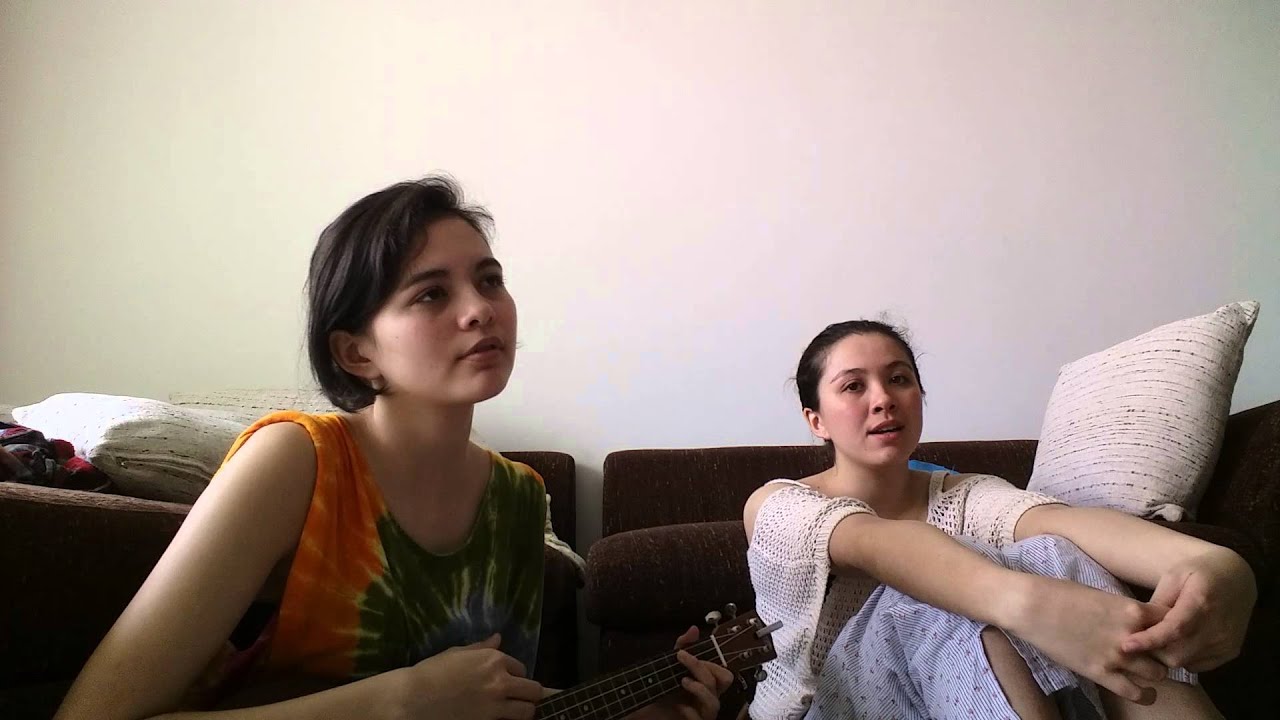 Little Talks - Of Monsters and Men (Cover)