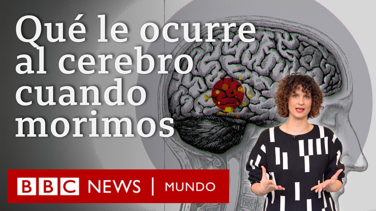 Qu&eacute; pasa en el cerebro cuando estamos muriendo: lo que descubri&oacute; una neurocient&iacute;fica de ese momento