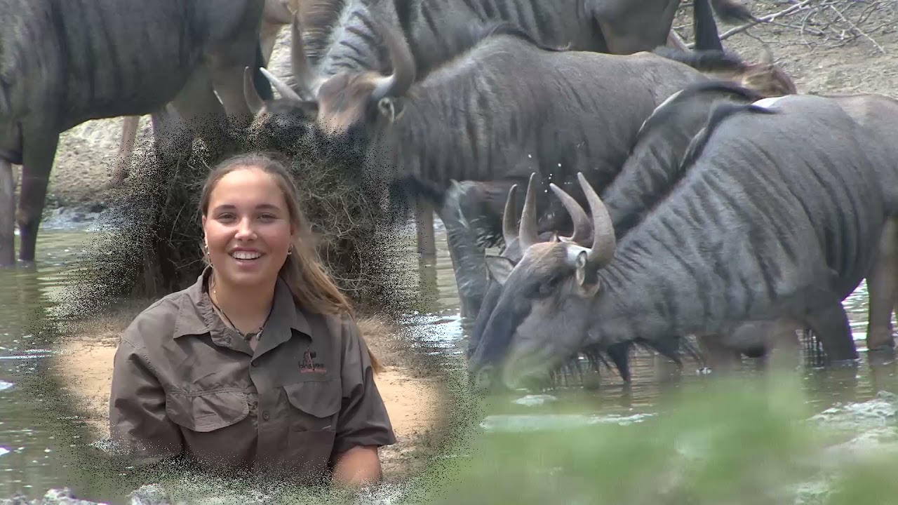 Bhejane Nature Training - Zululand South Africa