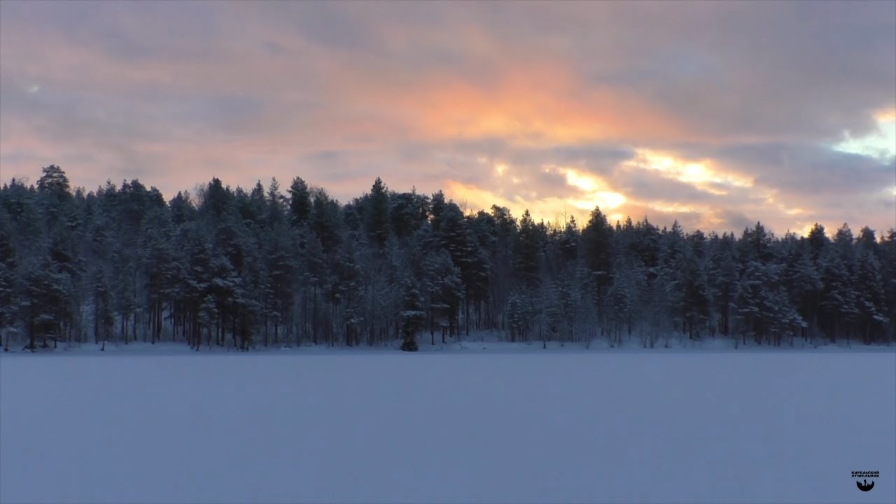 Зимний лес Карелии. Видео с квадрокоптера.