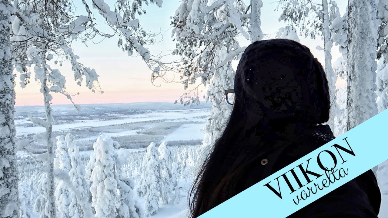 Kuulumisia ja ruokakassien sisältö | Viikon varrelta #162